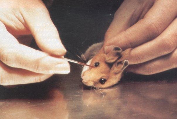 Why I Don't Wear Makeup