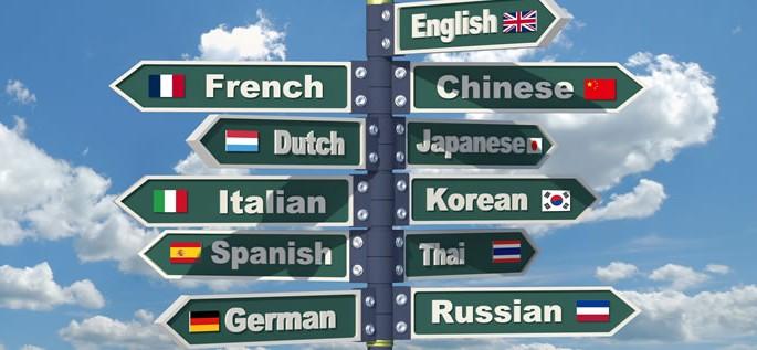 How to Teach Yourself Any Language in the World