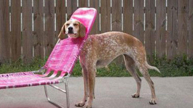 10 Popular Fashion Trends You Think You Don't Like...But Really, You Do