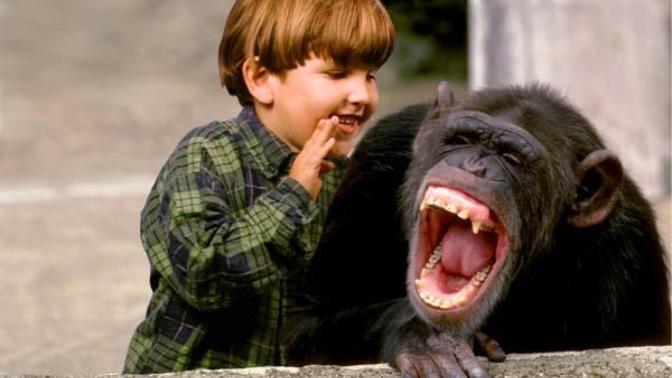 Why Laughter Really Is The Best Medicine