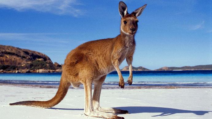20 Things That Are Uniquely Australian