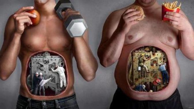 Why I Think A Healthy/Unhealthy Lifestyle As One's Personal, Conscious Choice Is Bullsh**