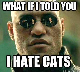 17 Ways You're Guaranteed to Piss Off the Internet