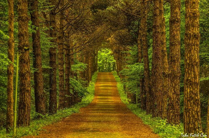 20 Top-Rated Tourist Attractions in Istanbul