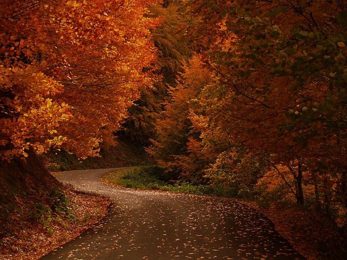 20 Top-Rated Tourist Attractions in Istanbul