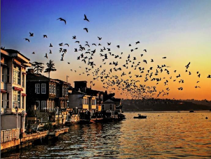 20 Top-Rated Tourist Attractions in Istanbul