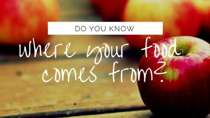 5 Reasons Why You Should Learn How To Cook