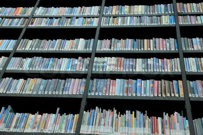 My 15 Unique (Or Not) Pet Peeves