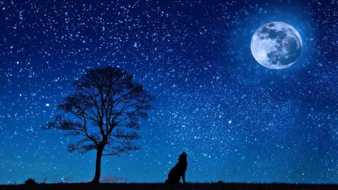 Confessions of a Painfully Tired Night Owl