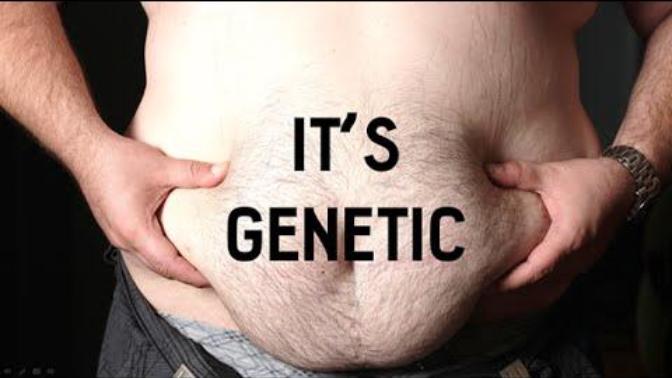 How We Should Treat Obese and Overweight Individuals
