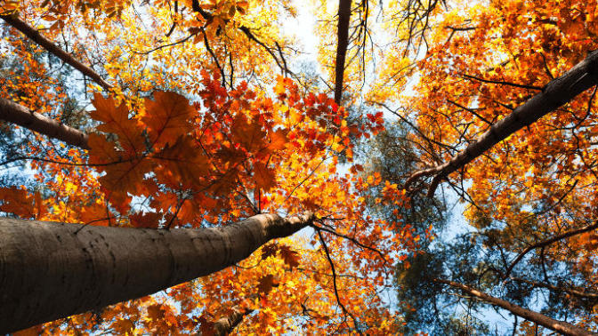 Best and Most Practical Fall Accessories