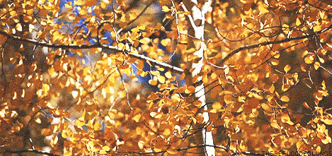 Fall Fashion and Self-Care Favorites