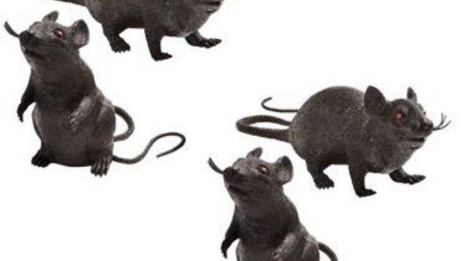 10 Things That Are Used To Scare People On Halloween