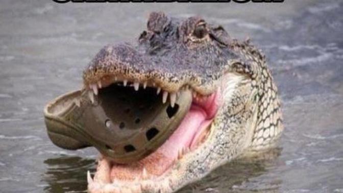 5 Nightmares I've Had So Far