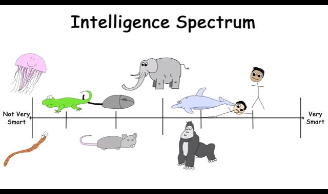 5 Spectra That Actually Do Exist