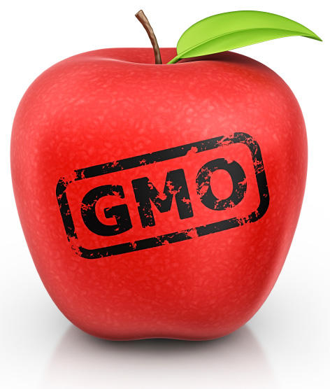 Genetically Modified Food, And Why We Need GMO Labels