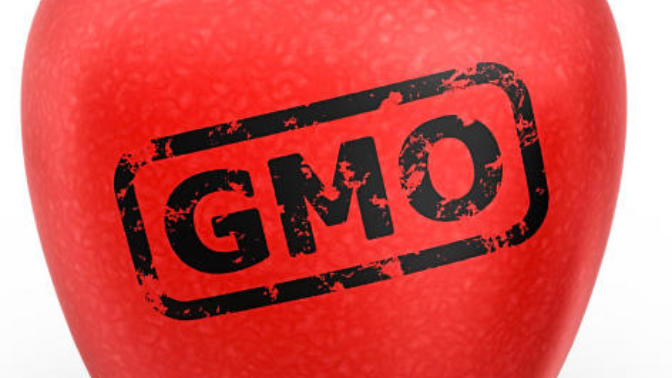 Genetically Modified Food, And Why We Need GMO Labels