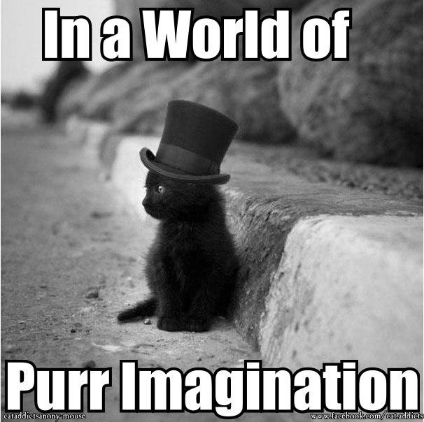 Cute Black Kitten Memes