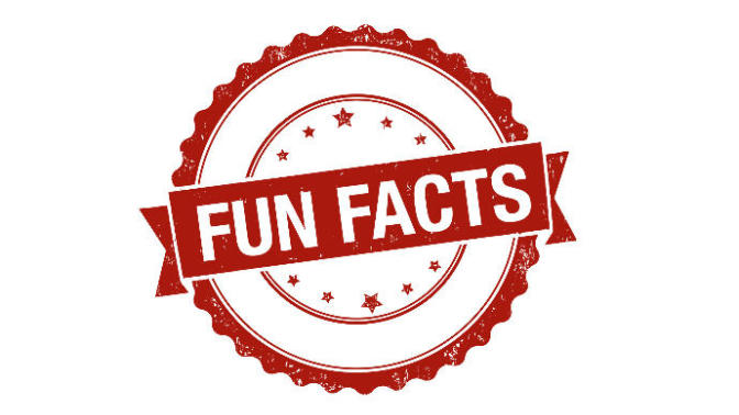 10 Fun Horror Movie Facts You Probably Didn't Know