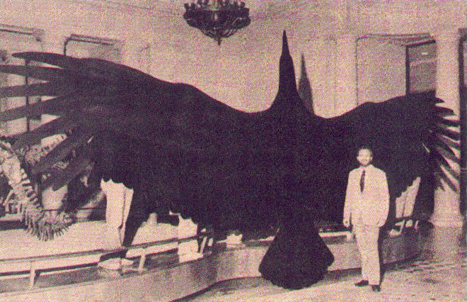 Post-Halloween Take: 20 of the Most Famous American Cryptids