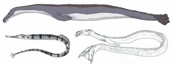 Post-Halloween Take: 20 of the Most Famous American Cryptids