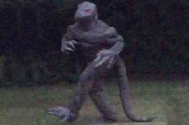 Post-Halloween Take: 20 of the Most Famous American Cryptids