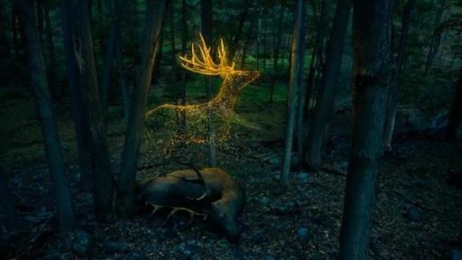 Post-Halloween Take: 20 of the Most Famous American Cryptids