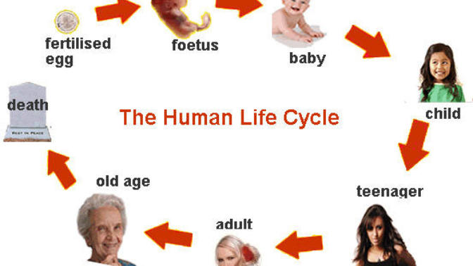 4 Reasons Why Life Is Precious