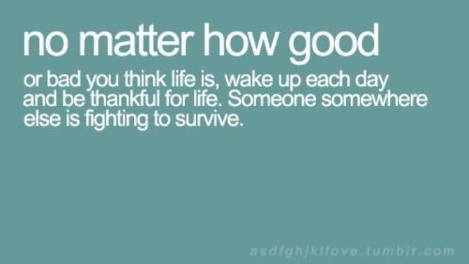 8 Things You Should be Grateful For