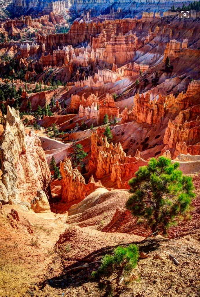 16 Beautiful Pieces of Photography Around America