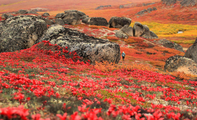 10 of the Best Places to Catch the Last of Fall Foliage