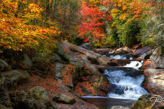 10 of the Best Places to Catch the Last of Fall Foliage