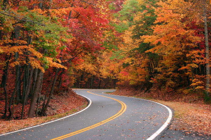 10 of the Best Places to Catch the Last of Fall Foliage