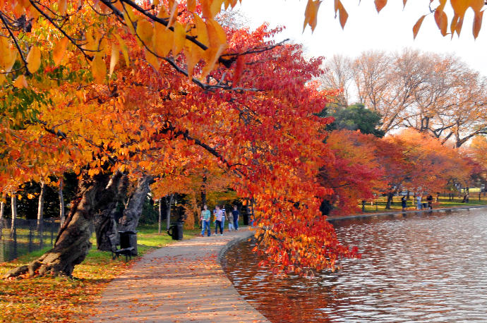 10 of the Best Places to Catch the Last of Fall Foliage