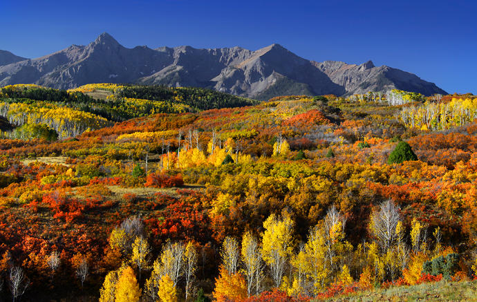 10 of the Best Places to Catch the Last of Fall Foliage