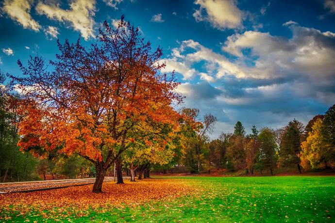 10 of the Best Places to Catch the Last of Fall Foliage