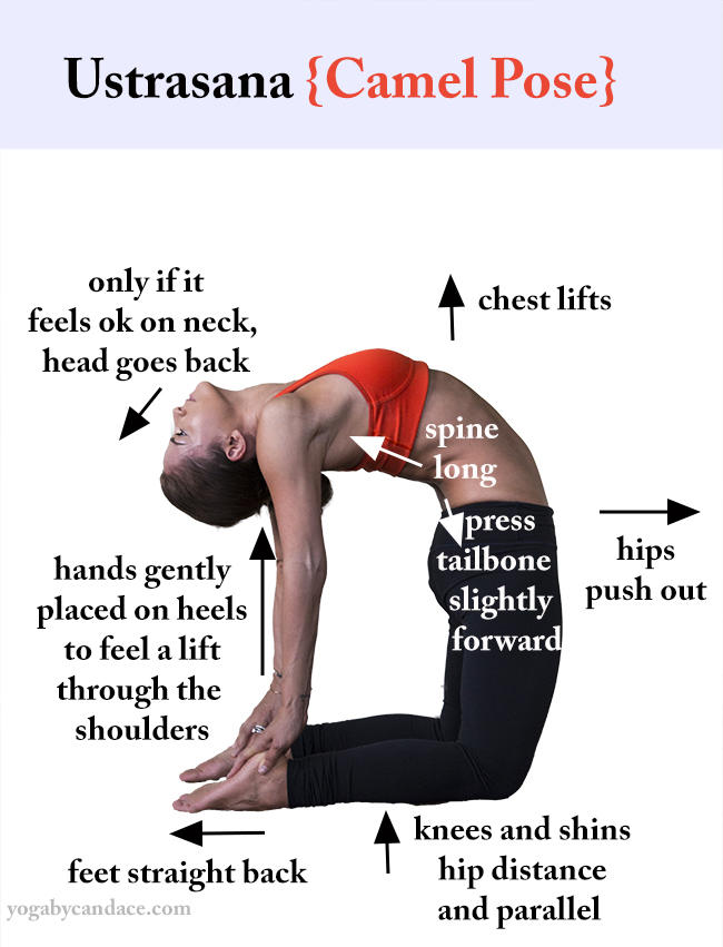 5 Yoga Poses and Their Health Benefits