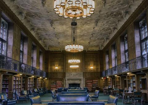Twenty Dream Reading Spots