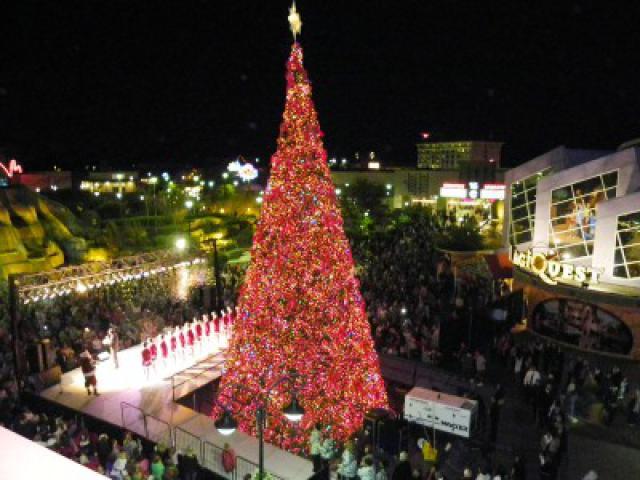 Fun Places to Visit Down South During Christmas Time