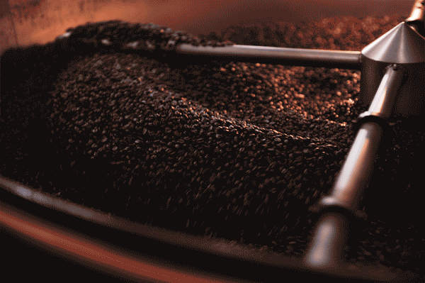 7 Reasons You Should Drink a Cup of Coffee Everyday