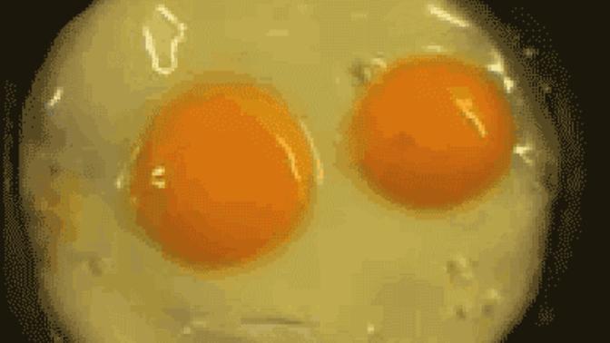 Chef Blondfrog's Top 10 Egg Recipes Everyone Should Try