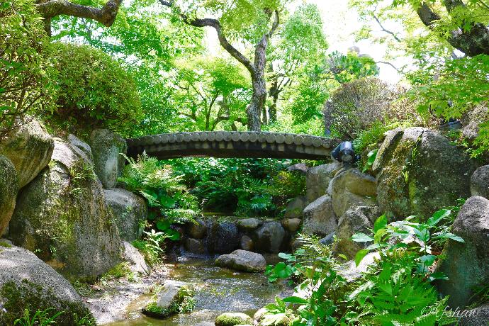 12 Amazing Eye-Candy Gardens