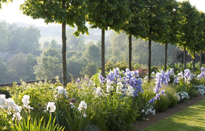 12 Amazing Eye-Candy Gardens