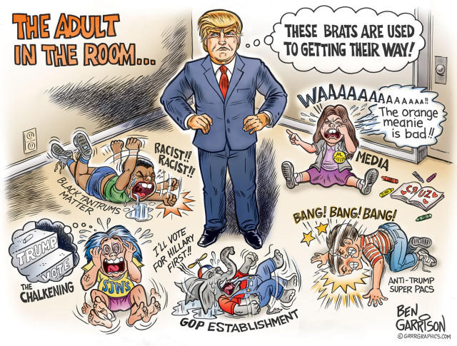 My Favorite Post-Election Cartoons (...So Far)