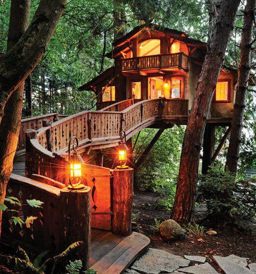 Forest Recluse Housing Ideas