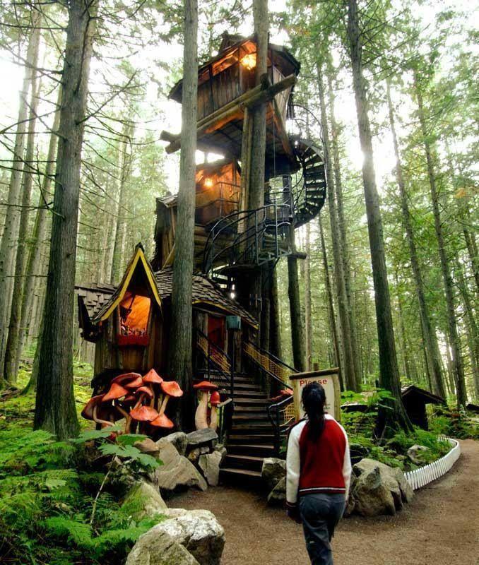 Forest Recluse Housing Ideas