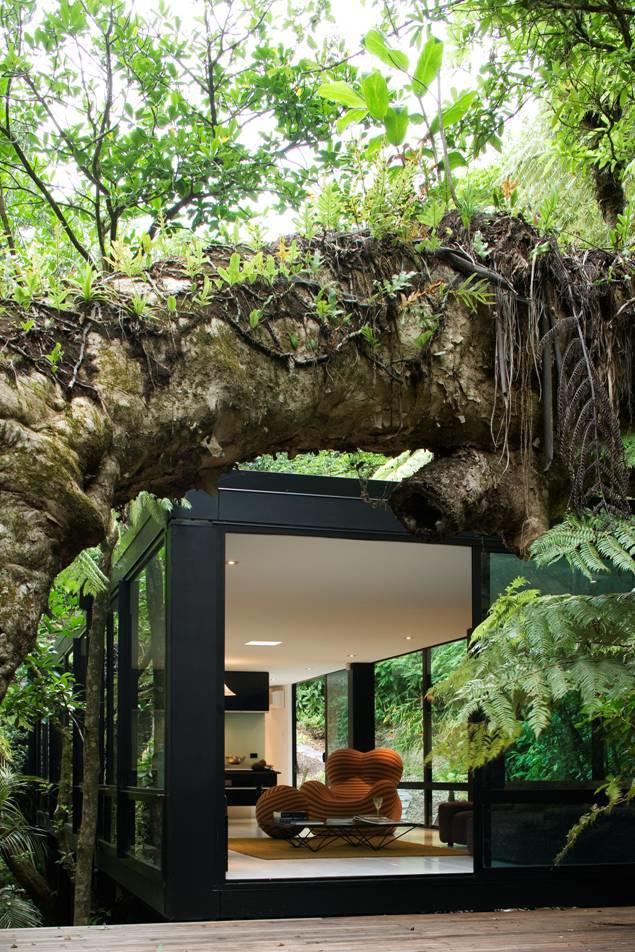 Forest Recluse Housing Ideas