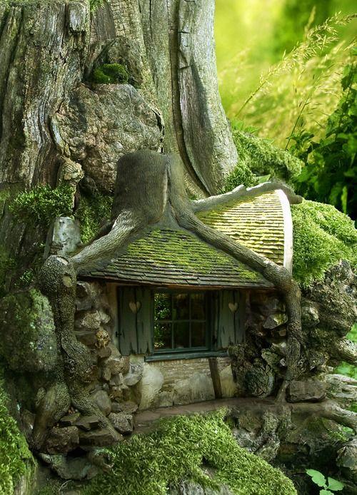 Forest Recluse Housing Ideas