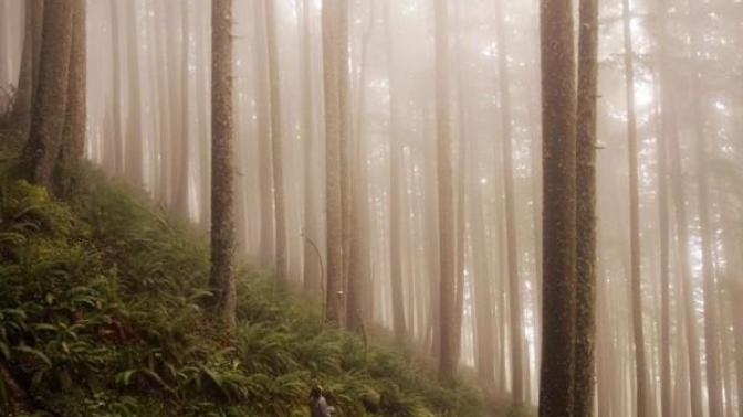 Why You Should Spend More Time Appreciating Nature