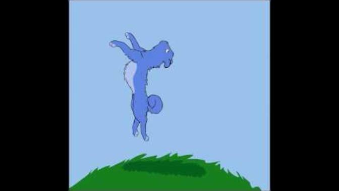 You Asked And I Answered: A Video